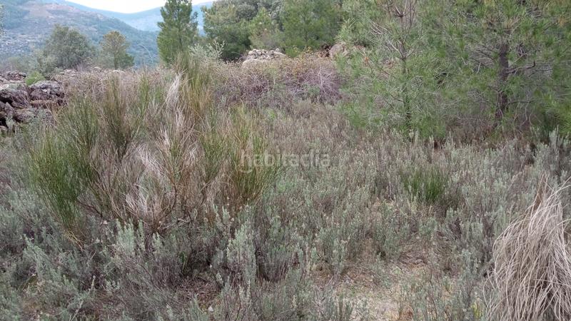 Foto a907ea94-681d-4d81-8cbc-9ec7ccd0fdb3. Finca rústica a Sotillo de la Adrada