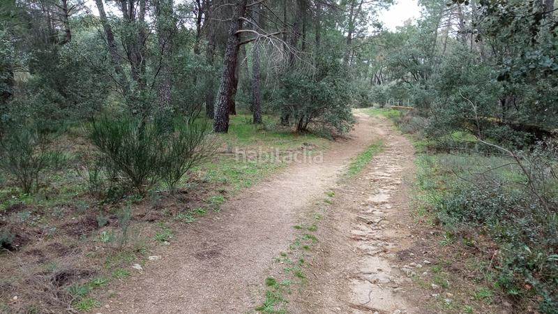 Foto c8068863-9d0c-43bf-a71b-d937be61cd1c. Finca rústica a Sotillo de la Adrada