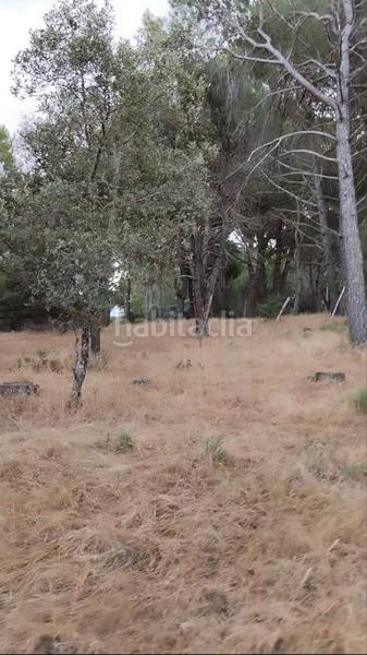 Foto 3b8de5b3-ed63-4696-8ac2-c03fe1567512. Finca rústica a Adrada (La)