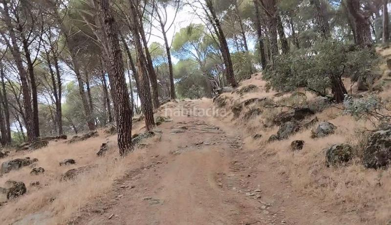 Foto 6f45a2dd-5c59-4d99-b55e-d3a577948b3a. Finca rústica a Adrada (La)