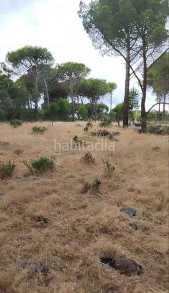 Foto c17bbaab-bc48-4c54-b6e8-87ac6772cb41. Finca rústica a Adrada (La)