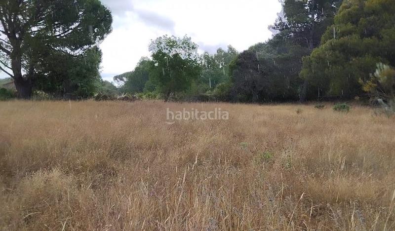 Foto c925e707-63cf-4e06-8946-18796bc2755b. Finca rústica a Adrada (La)