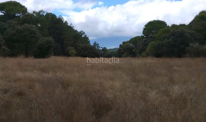 Foto d8022bb4-dec1-428a-b747-42f65e24c674. Finca rústica a Adrada (La)