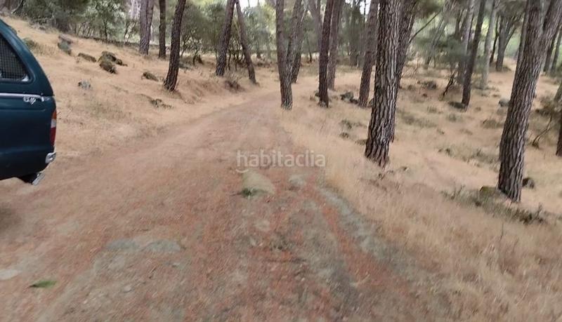 Foto f98c914d-9735-46c6-acdf-12bd20b77ff7. Finca rústica a Adrada (La)