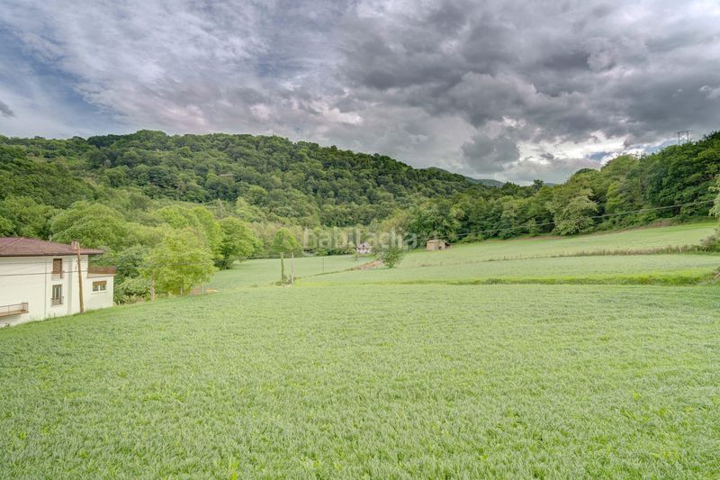 Foto 230083b7-9a3e-47ac-bc8b-9fa75342d67c. Pis a Oiz