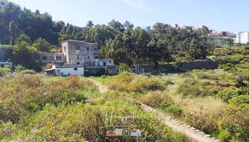 Foto 4e9c31d6-0e93-4e40-b712-1d91202bcbdd. Finca rústica a Arucas casco Arucas