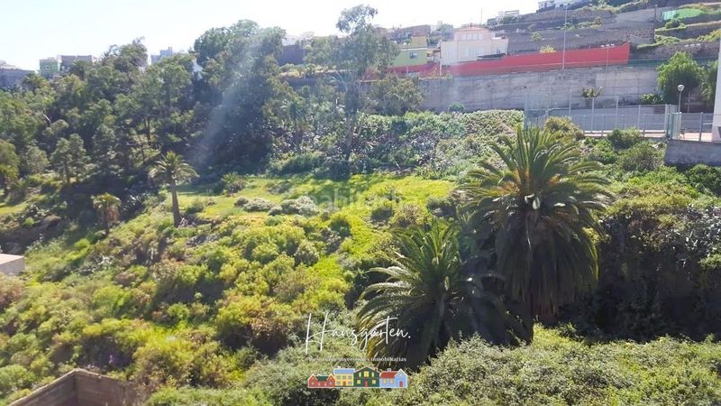 Foto 77142e90-1fa1-4899-9546-1c4cac80d4b8. Finca rústica a Arucas casco Arucas