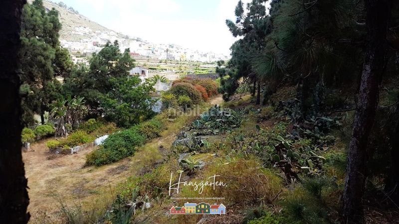 Foto a353df30-9764-4114-88cd-33fb595a9203. Finca rústica a Arucas casco Arucas