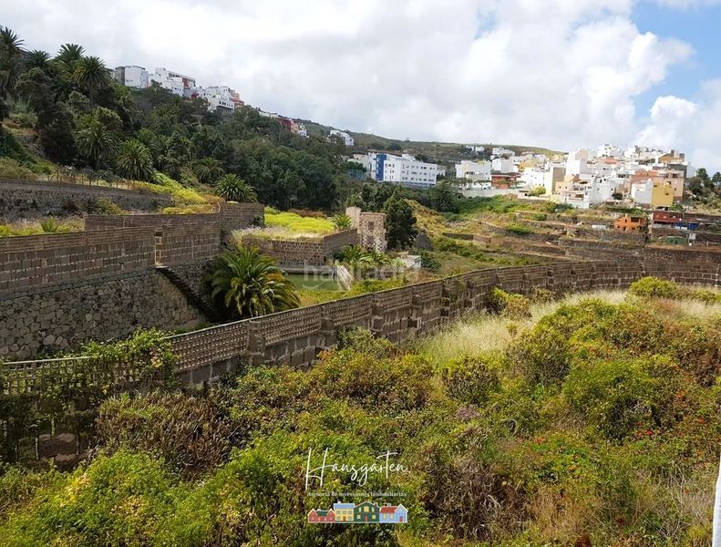 Foto a9781f40-3ee4-4528-bcf1-cc1086b99936. Finca rústica a Arucas casco Arucas