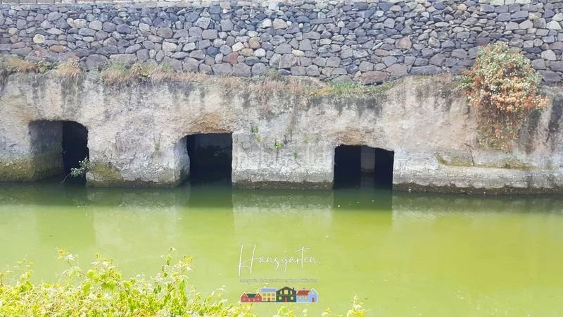 Foto cd788159-1aa0-49ca-9e9d-8773451148c4. Finca rústica a Arucas casco Arucas
