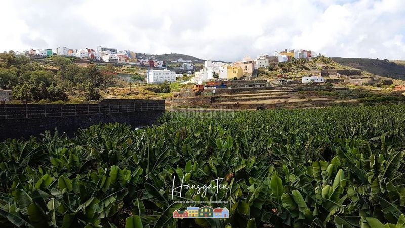 Foto d06595df-f27f-4a30-8740-0a5166795d1a. Finca rústica a Arucas casco Arucas
