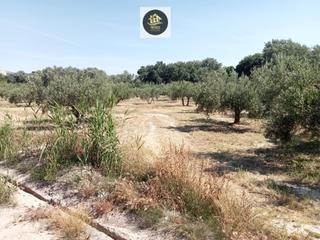 Terreny residencial a Puente Jontoya - Puente de la Sierra - El Arroyo. Parcela en puente jontoya