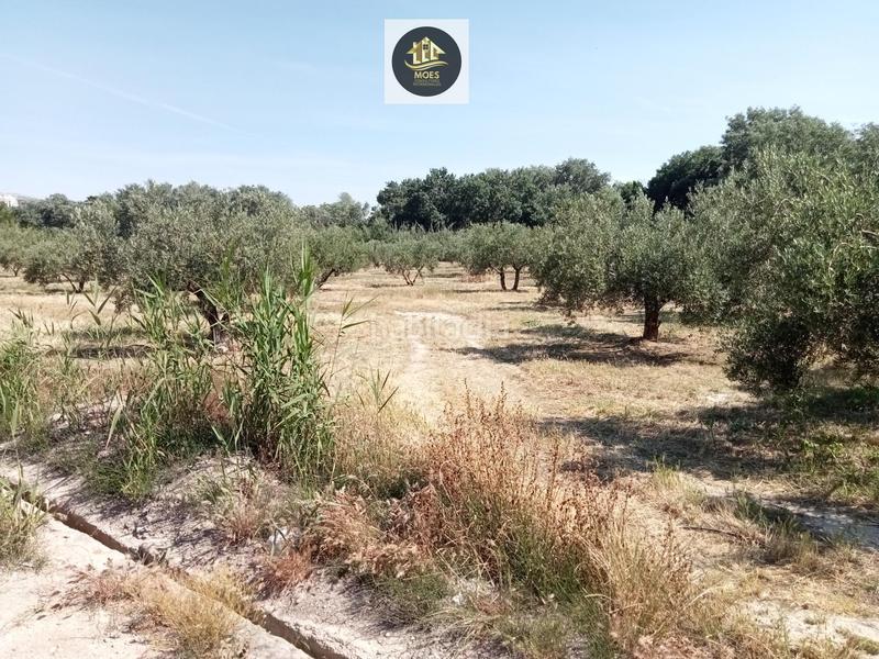 Foto 25cab2d0-b87e-435f-be65-1243953834fe. Terreny residencial a Puente Jontoya - Puente de la Sierra - El Arroyo Jaén