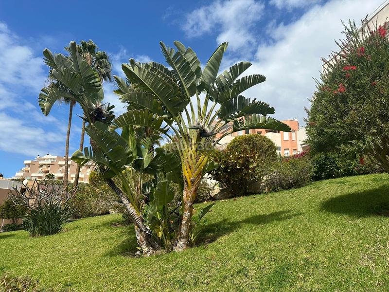 Foto 81a725c2-33c4-4cd7-b6d1-51c94e307c7c. Apartament a playa de diego hernández a La Caleta Adeje