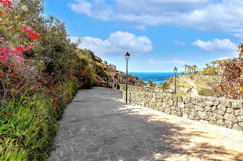 Foto 74940753-3f9f-4782-a161-394f6efd034b. Apartament a av. Adeje 300 a Callao Salvaje - Playa Paraíso Adeje