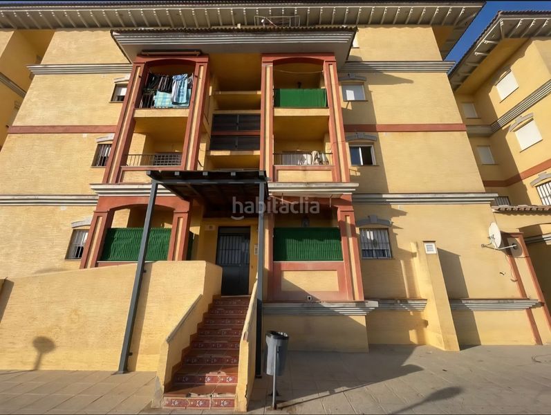 Foto 583099bc-1728-4394-9bc3-d74a5084dcda. Pis a Lepe