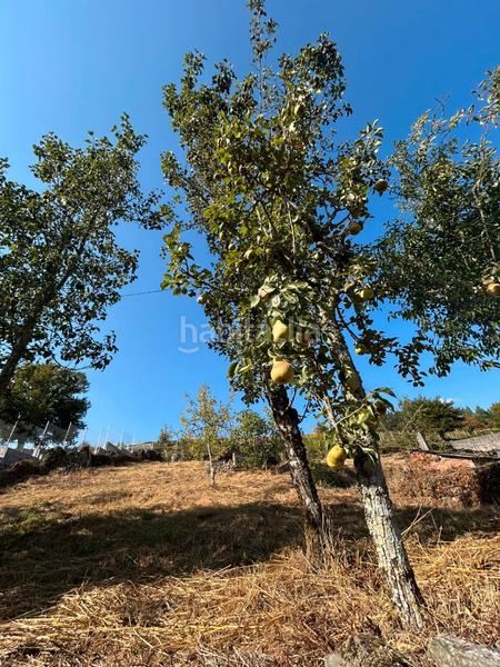 Foto c2ee2e9d-45b8-4605-b547-69a292b2d0fa. Casa en aldea munin 7 en Irixo (O)