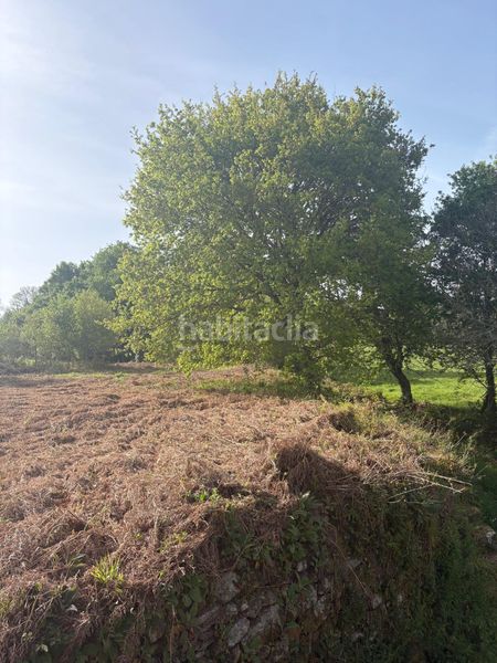 Foto 7adce433-e997-4c05-b25b-b7fda4949778. Masia a Irixo (O)