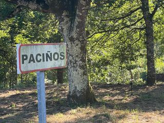 Terreny residencial a Lugar paciños 15. Grupo segural