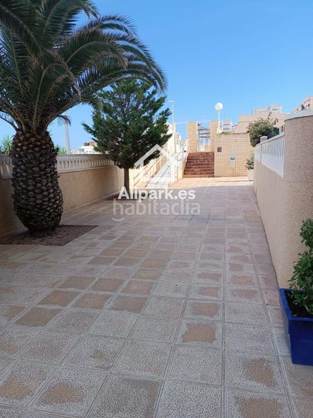 Foto e58c7f3c-b00a-4246-bd6a-e546c2c5d284. Piso en costa blanca avenida de malaga 8 vistas al mar en arenales del sol en Elche / Elx