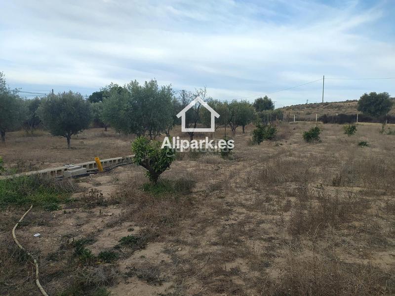 Foto be43e53e-1dc9-4188-9633-f2005280d5c7. Chalet con parcheggio piscina in Moralet Alicante