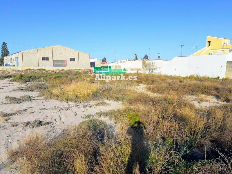 Foto f6c4ce3c-9f14-4a50-90bb-57b863ecc36a. Fondo rustico in Ciudad de Asís Alicante