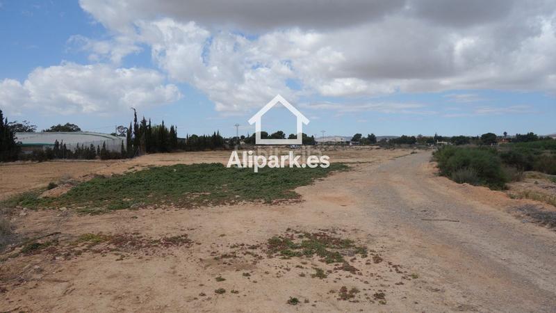 Foto 7b2cc461-a69d-4853-8926-56de4af28fab. Wohngrundstück in Torrellano Elche / Elx