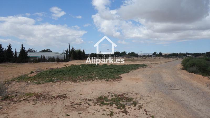 Foto c6e616a3-9c81-45d7-986f-8f41787206be. Wohngrundstück in Torrellano Elche / Elx