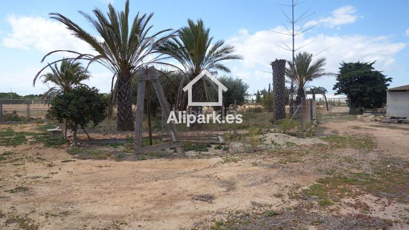 Foto f64994a2-dd18-4f1a-8318-3ac0bd2d9709. Wohngrundstück in Torrellano Elche / Elx