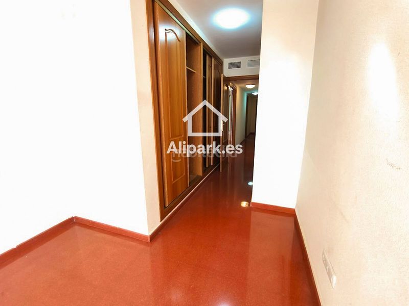 Foto f675c933-e1f8-49c2-abbc-792ed401222a. Pis a Carolinas Altas Alicante