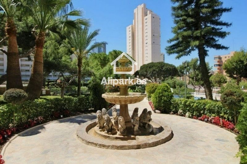 Foto 2229447c-f646-4ffe-ade2-dbbdd8c07d3d. Pis a paris 14 a Rincón Alto Benidorm