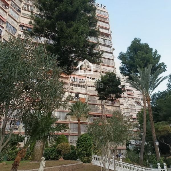 Foto 6395544f-5176-4e95-a159-429721082114. Pis a paris 14 a Rincón Alto Benidorm