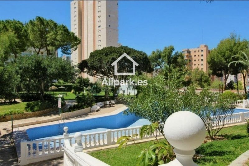 Foto ed3bbac7-dad2-4679-a153-1de188c91b1c. Pis a paris 14 a Rincón Alto Benidorm