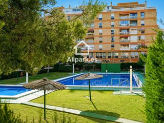 Pis  Medico pedro herrero. Piso para reformar con piscina junto a renfe, alicante
