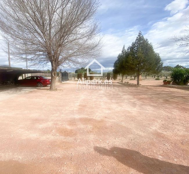 Foto 24c17539-80c6-42a7-9401-28e699115992. Xalet amb aparcament a Novelda