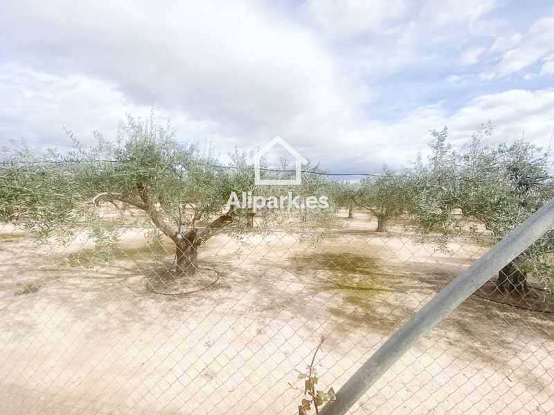 Foto 2a10a98d-23a2-47d3-85e0-fe3464d2e811. Xalet amb aparcament a Novelda