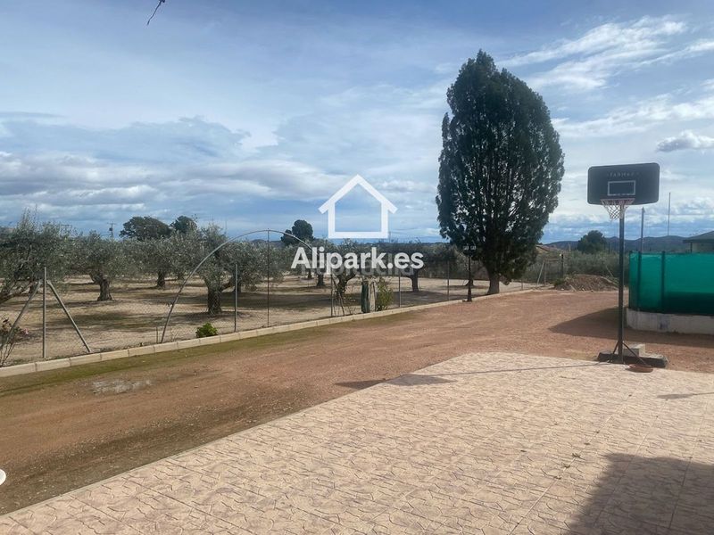 Foto 2cd61eed-cc45-4c7a-adf8-a22032889b57. Xalet amb aparcament a Novelda