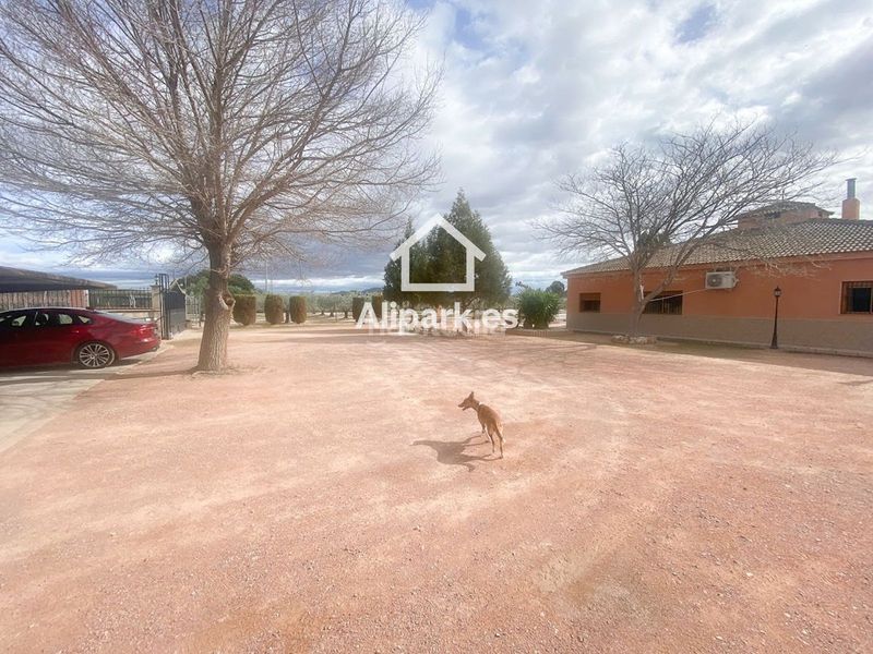 Foto f6991f5f-56fc-4047-b3e4-da757550f2d4. Xalet amb aparcament a Novelda