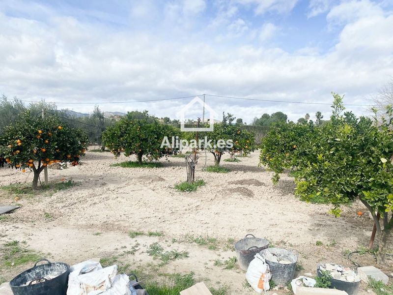 Foto f4ee721d-0dec-41de-a8cd-cee67bd61e6f. Xalet amb aparcament a Novelda