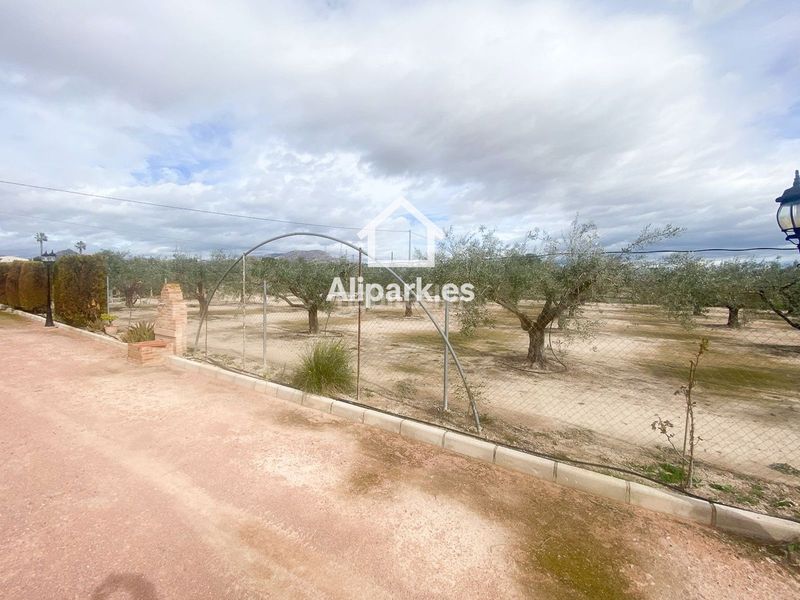 Foto f73d02eb-4478-46eb-a155-e5c573738210. Xalet amb aparcament a Novelda