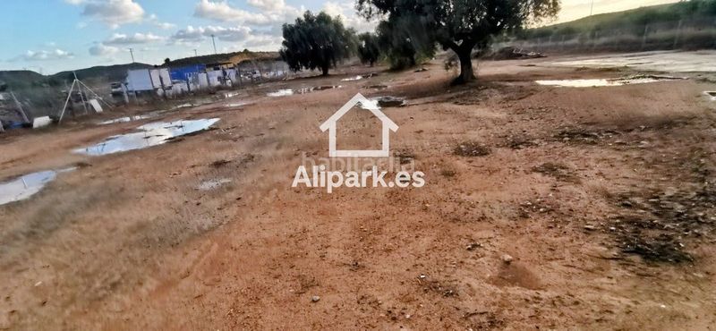 Foto 35b74d59-b21e-452f-ae74-8d0c3d09f8b2. Finca rústica a El Bacarot Alicante