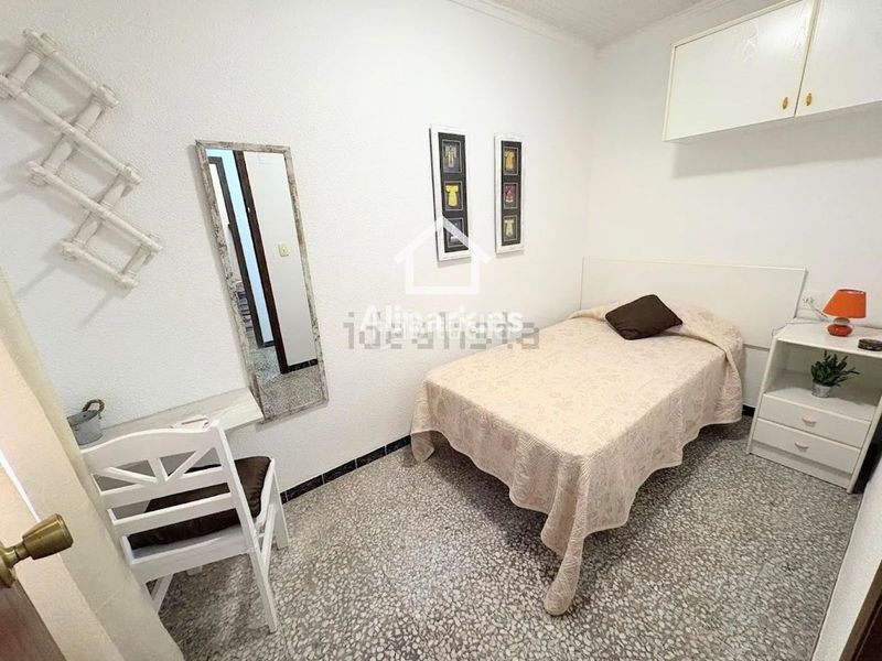 Foto 8726b47b-3b7d-4d85-bcc2-9b5c11b42371. Pis a Novelda