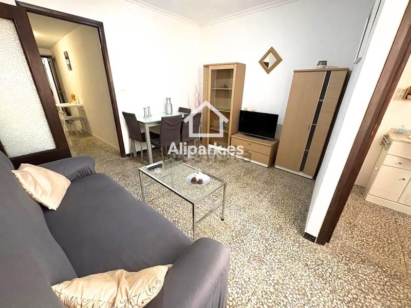 Foto cb2fe9b2-5e95-4ff7-96a6-7b97be2bc284. Pis a Novelda