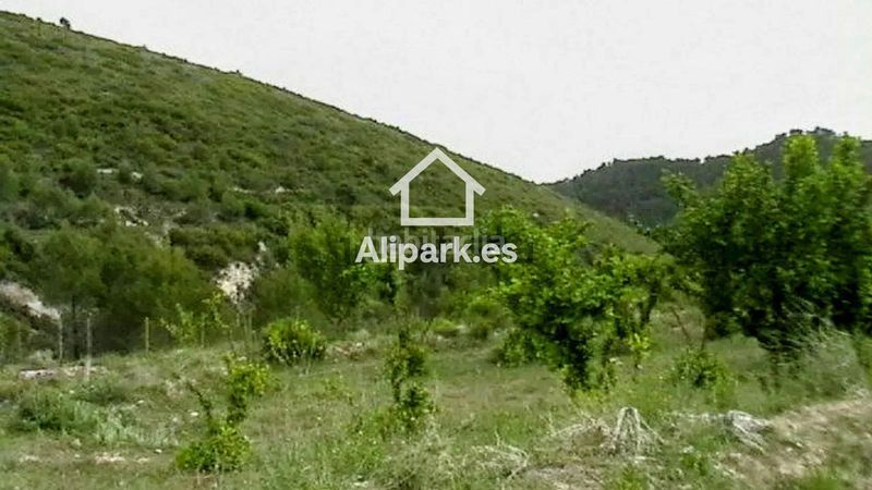 Foto c417aa3b-8689-4ef3-8fba-1292504f8345. Finca rústica a Onil