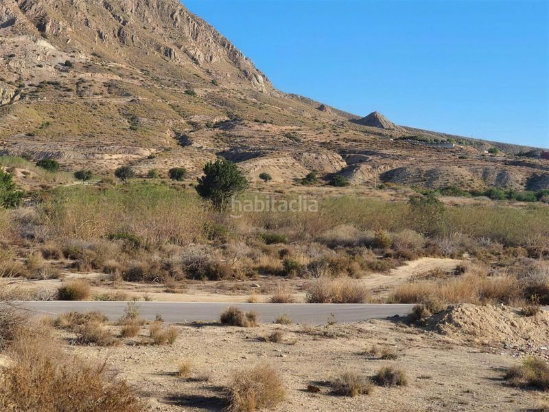 Foto 500f0669-bcb7-47b0-9b0e-d8c7a7fecfe9. Finca rústica a Pla de la Vallonga Alicante