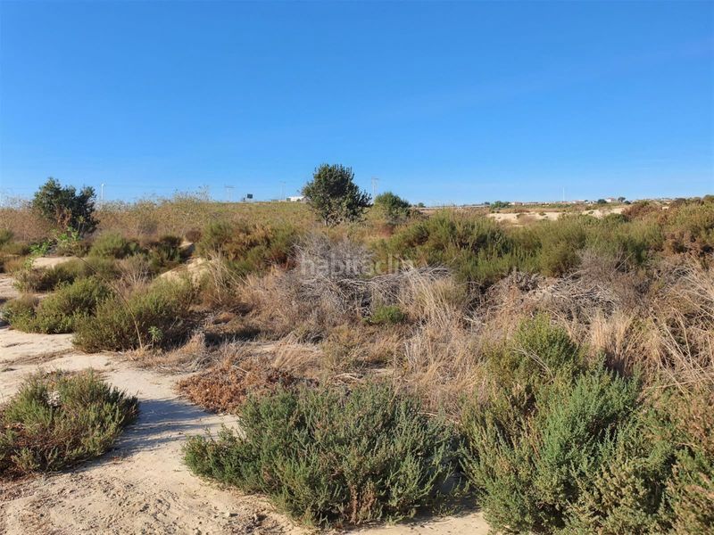 Foto 564f6e04-4106-4005-aa97-9429f76c2531. Finca rústica a Pla de la Vallonga Alicante