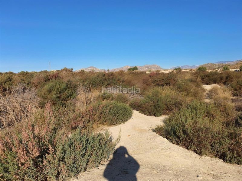 Foto 5bce25da-db0f-49e7-a2e0-b1adc80a0aaf. Finca rústica a Pla de la Vallonga Alicante