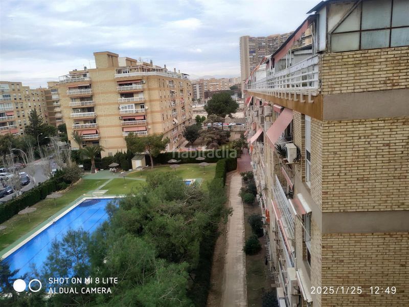 Foto 2824f26f-0b6c-4aa7-8592-8844c7124f40. Pis amb piscina a Alipark Alicante