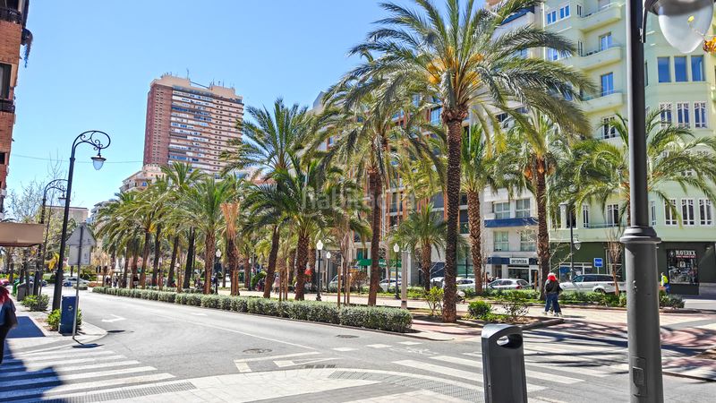 Foto ed83b931-459a-4cb2-ab9e-b723e713fa6a. Pis a Mercado Alicante