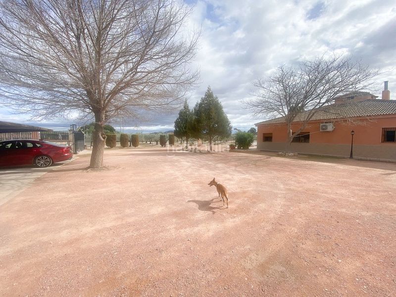 Foto f9843897-837a-4854-b8fa-0a2e95b5ad2e. Xalet amb aparcament piscina a Novelda